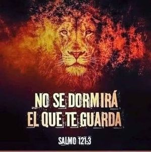 Meet your Posher, Alan